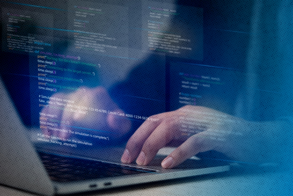Software Development Company in Delhi
